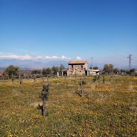 La Giara B&B San Demetrio Corone Exterior foto